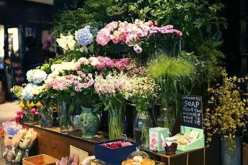 画质助手120帧免费吃鸡 