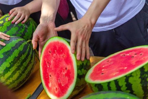 黑料吃瓜网apk普通安装  第2张