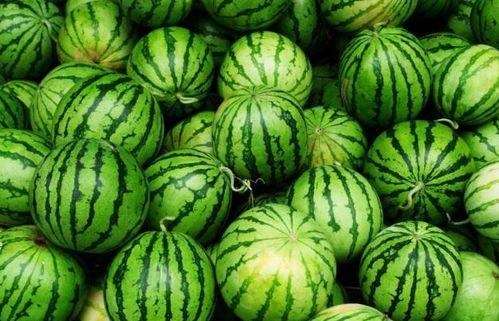 黑料吃瓜网apk普通安装  第3张