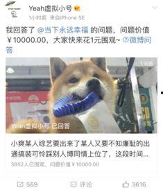 黑料吃瓜网apk普通安装  第3张