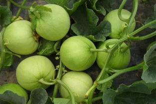 有意思旅游  第2张