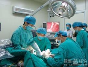 怎么可以吃兔兔  第3张